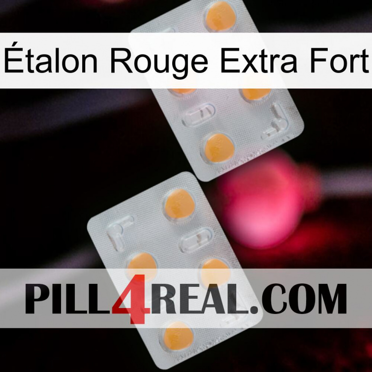 Étalon Rouge Extra Fort 25